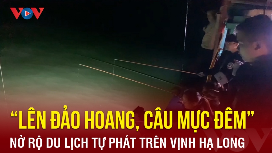 Nở rộ du lịch tự phát “lên đảo hoang, câu mực đêm” trên vịnh Hạ Long